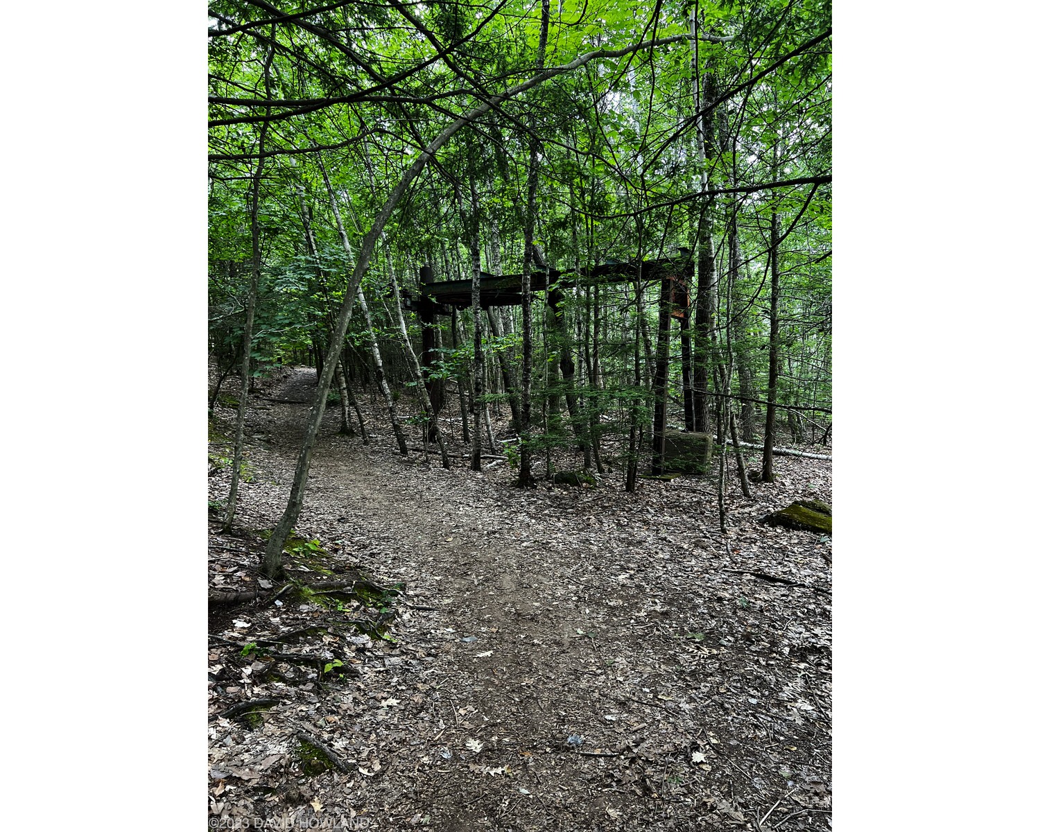 A photo of rusting abandonded ski lift machinery next to a trail through the woods